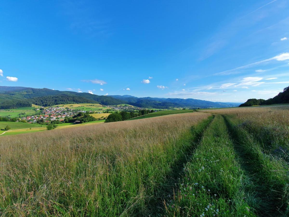 Apartment Schneeburg Ebringen Buitenkant foto