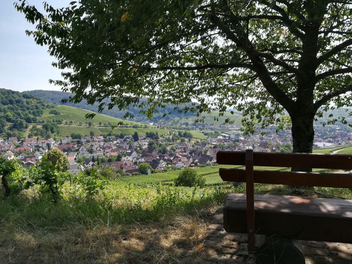 Apartment Schneeburg Ebringen Buitenkant foto
