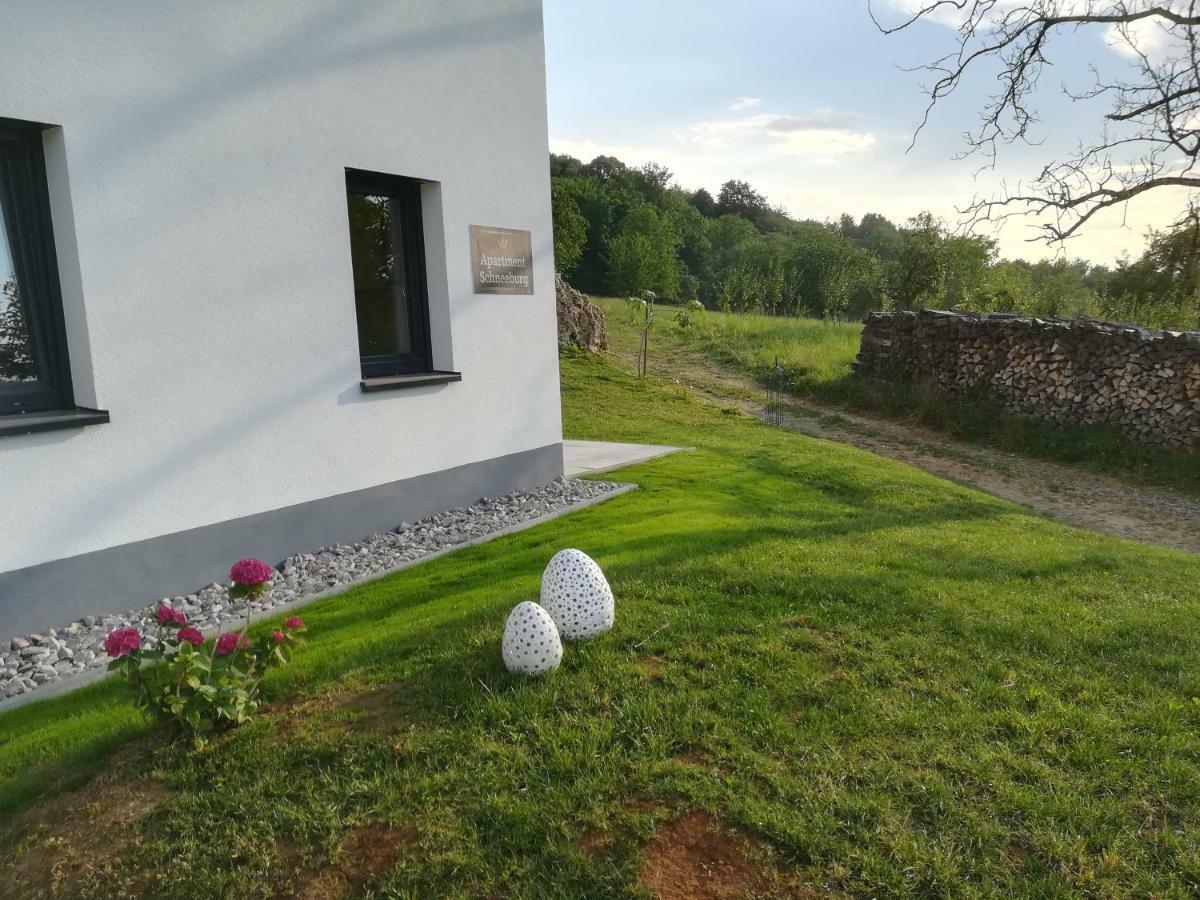 Apartment Schneeburg Ebringen Buitenkant foto